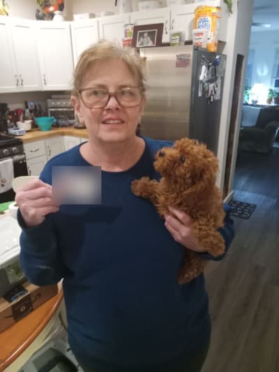 Paris, a Poodle, Toy puppy from Pawrade