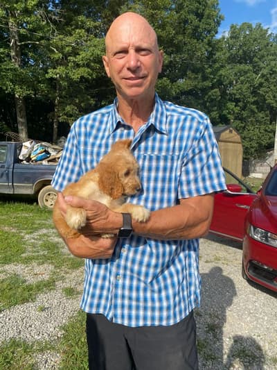 Blake, a Irishdoodle puppy from Pawrade