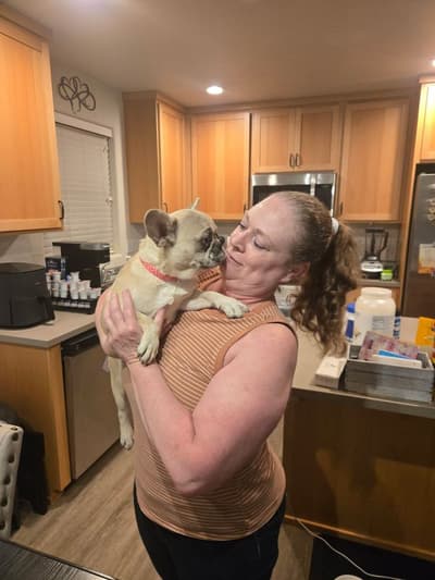 Darla, a French Bulldog puppy from Pawrade