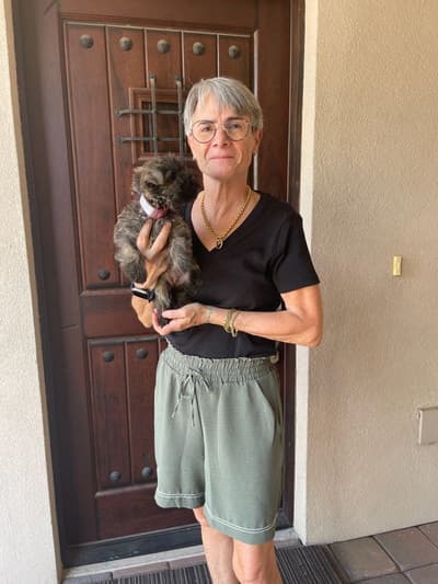Hosanna, a Cairn Terrier puppy from Pawrade