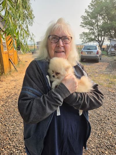 Opal, a Pomeranian puppy from Pawrade