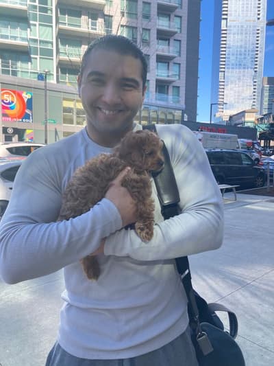 Vivien, a Cavapoo puppy from Pawrade