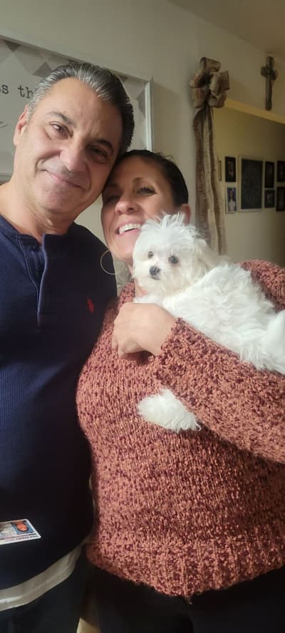 Calista, a Maltese puppy from Pawrade