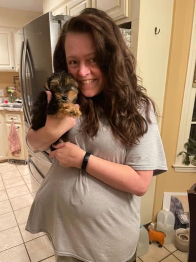 Pauly, a Morkie / Yorktese puppy from Pawrade