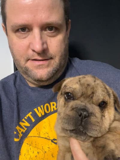 Tubby, a Mixed/Other puppy from Pawrade
