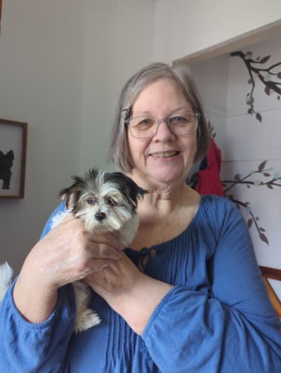 Kresley, a Morkie / Yorktese puppy from Pawrade