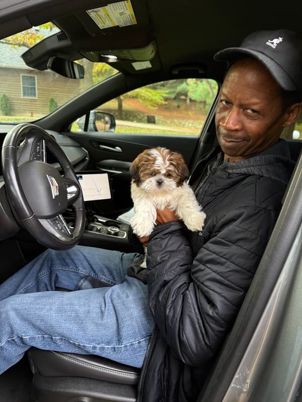 Customer photo of Shih Tzu puppy from Kevin S.