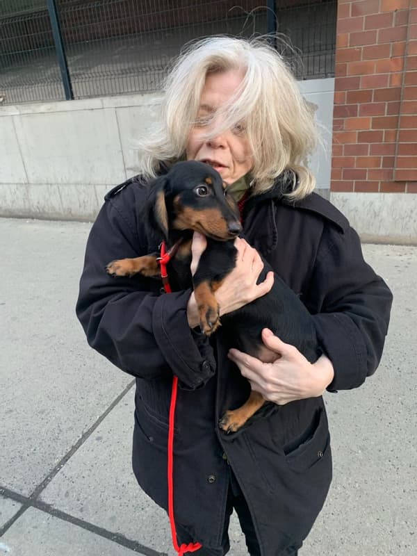Customer photo of Dachshund, Mini puppy from Chris M.