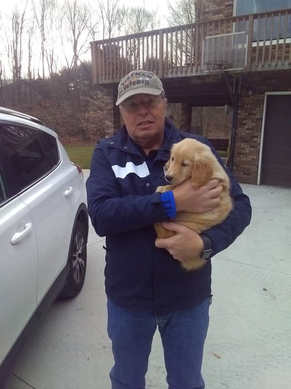 Customer photo of Golden Retriever puppy from Gene K.