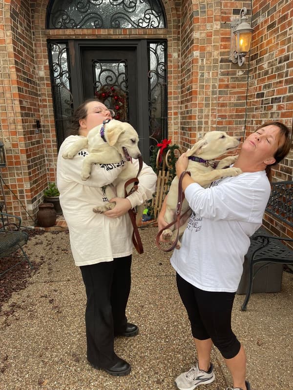 Customer photo of Labrador Retriever puppy from Maury H.