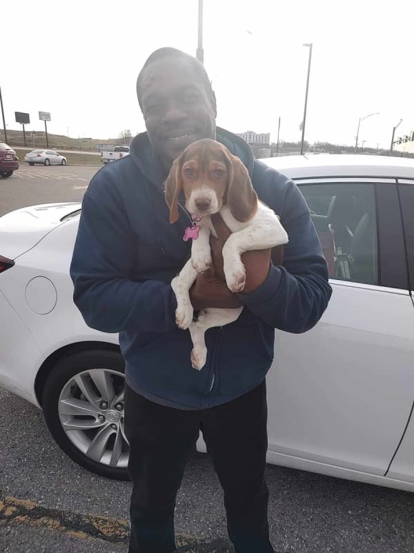 Customer photo of Beagle puppy from John J.