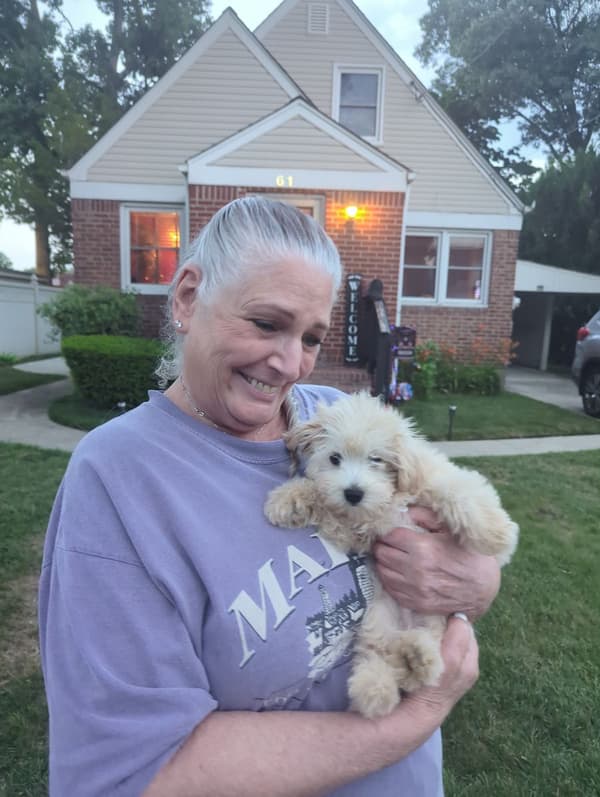 Customer photo of Malti Poo - Maltipoo puppy from June T.