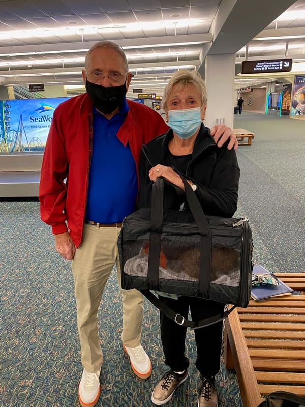 Customer photo of Poodle, Toy puppy from Jack G.