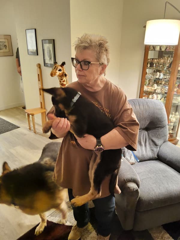 Customer photo of German Shepherd puppy from Sherril L.