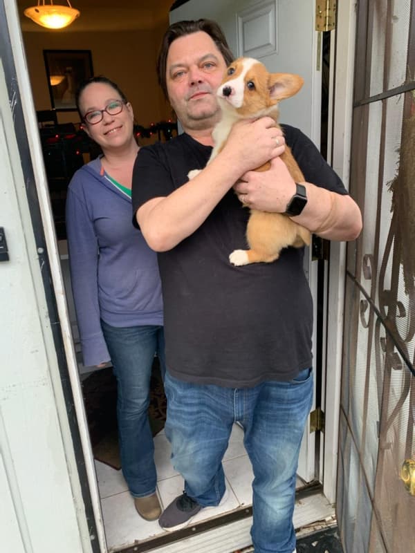 Customer photo of Corgi, Pembroke Welsh puppy from Rick K.