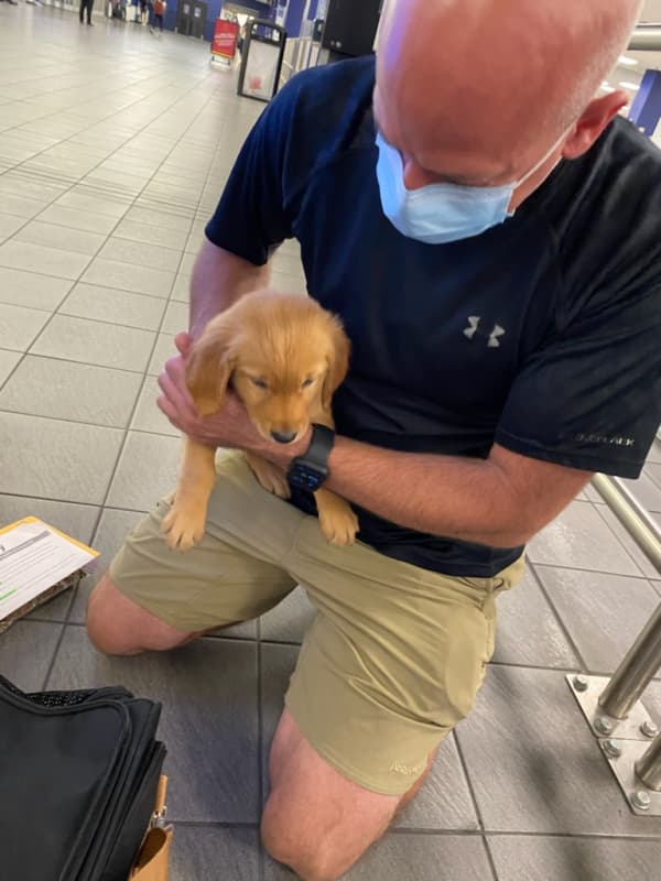 Customer photo of Golden Retriever puppy from Vincent N.