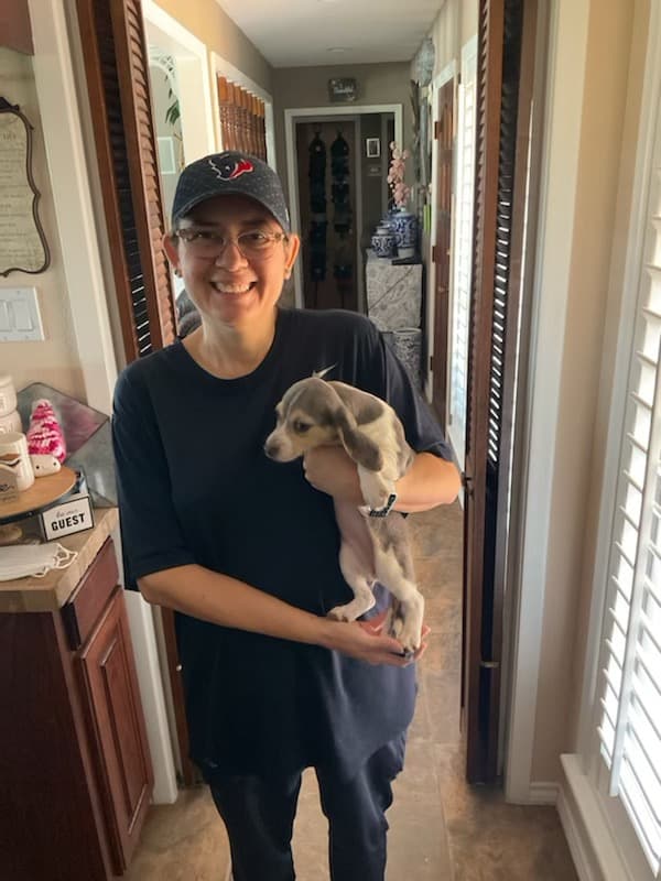 Customer photo of Beagle puppy from Noe & Cynthia G.