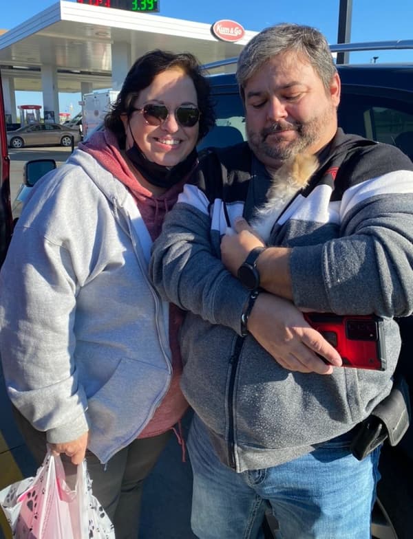 Customer photo of Pomeranian puppy from Lurana G. 