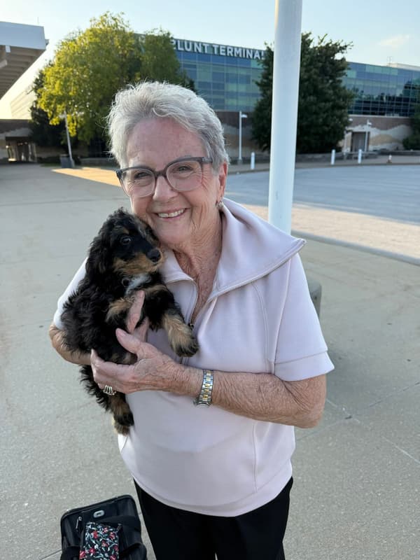 Customer photo of Dachshund, Mini puppy from Heidemarie G.