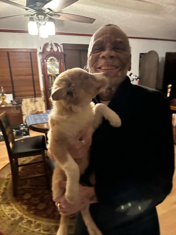 Customer photo of Border Collie puppy from Thomas D.