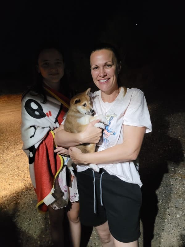 Customer photo of Bichon Frise puppy from Mary E.