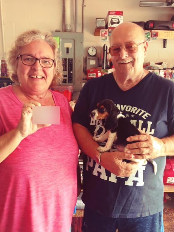 Customer photo of Beagle puppy from Michele B.