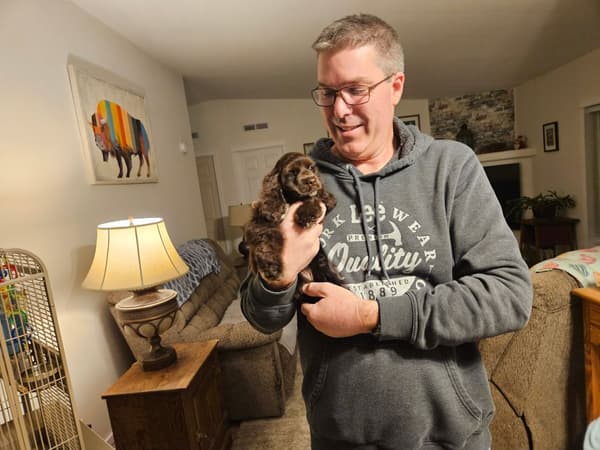 Customer photo of Cocker Spaniel puppy from Bill H.