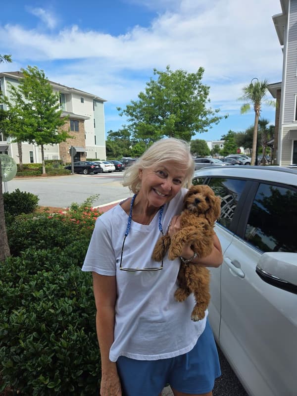 Customer photo of Cockapoo puppy from Susan O.