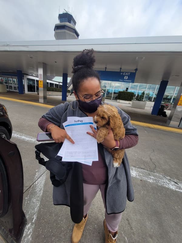 Customer photo of Cavapoo puppy from Charity W.