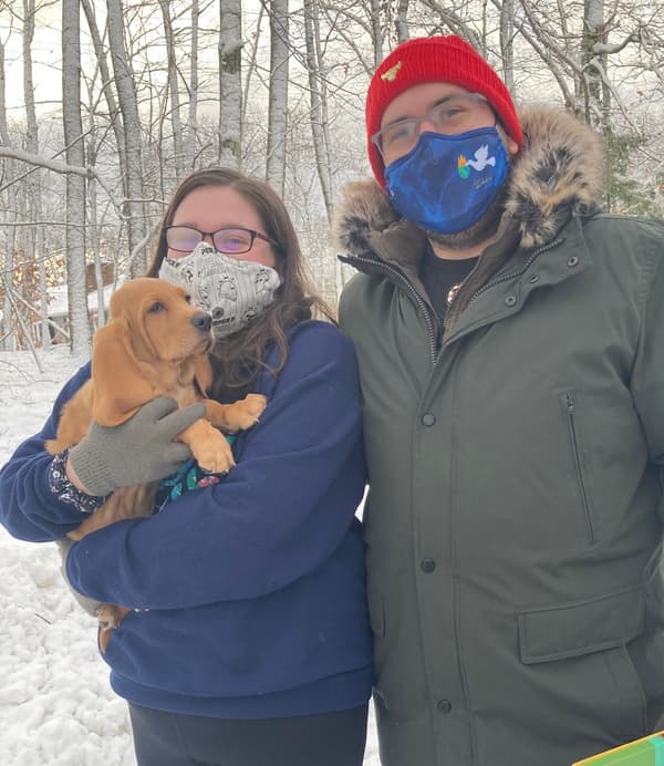 Customer photo of Basset Hound puppy from Sierra D.