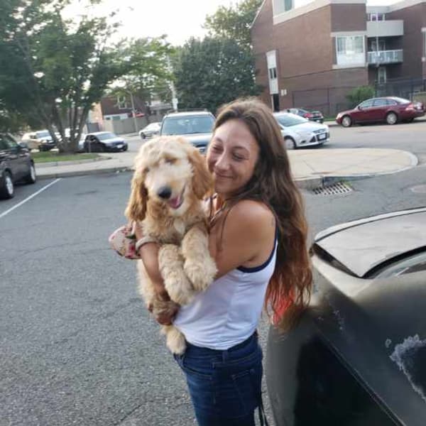 Customer photo of Goldendoodle puppy from Paige M.