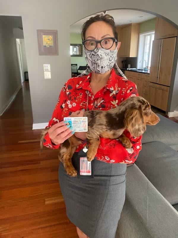 Customer photo of Dachshund, Mini puppy from Sandra B. 