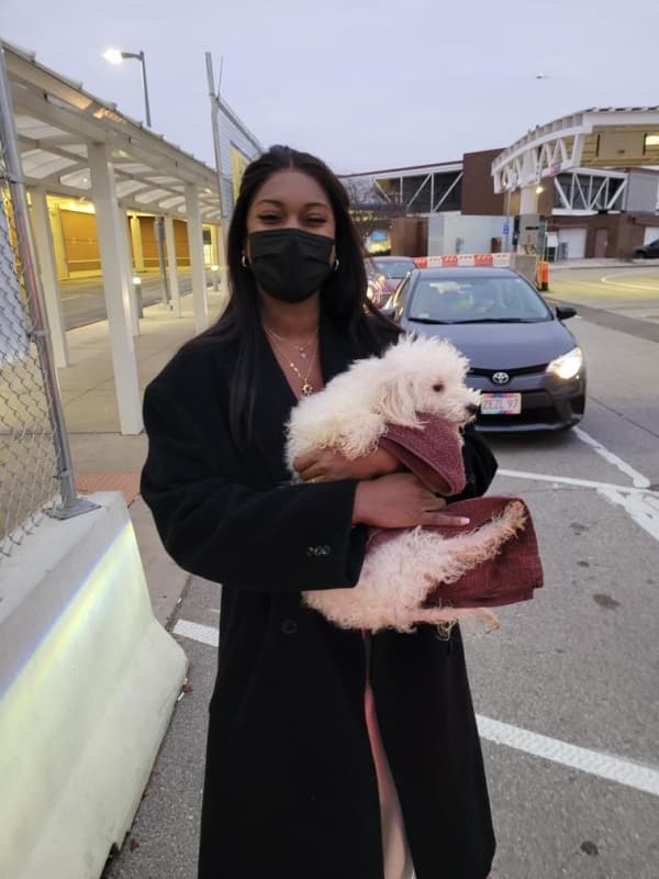 Customer photo of Malti Poo - Maltipoo puppy from Frarielle J.