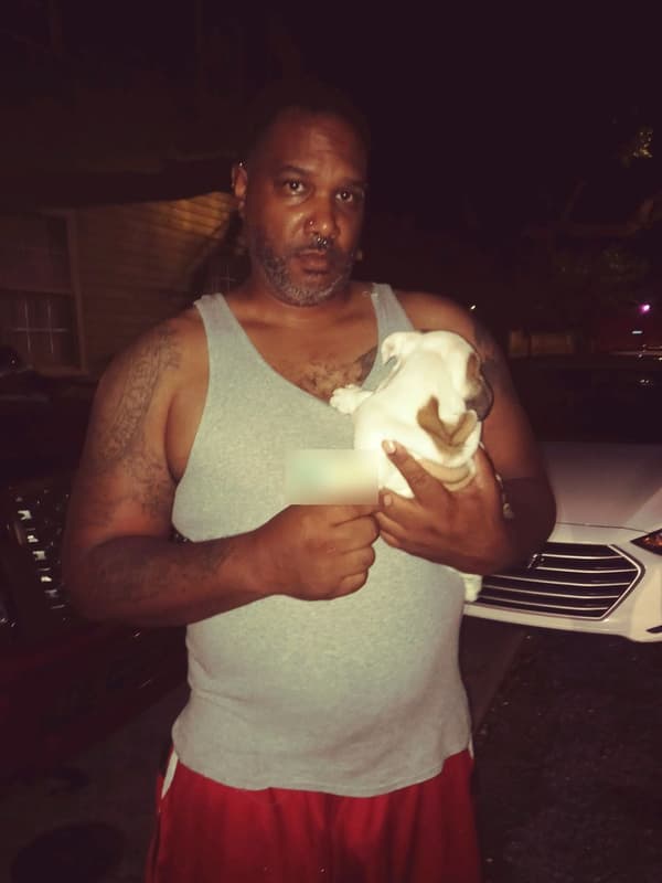 Customer photo of English Bulldog puppy from Dale B.