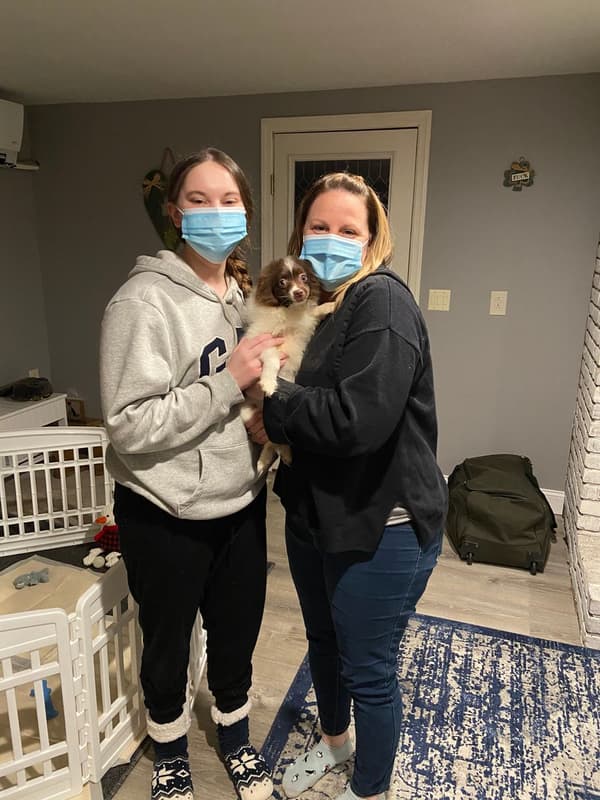 Customer photo of Pomeranian puppy from Angela G.