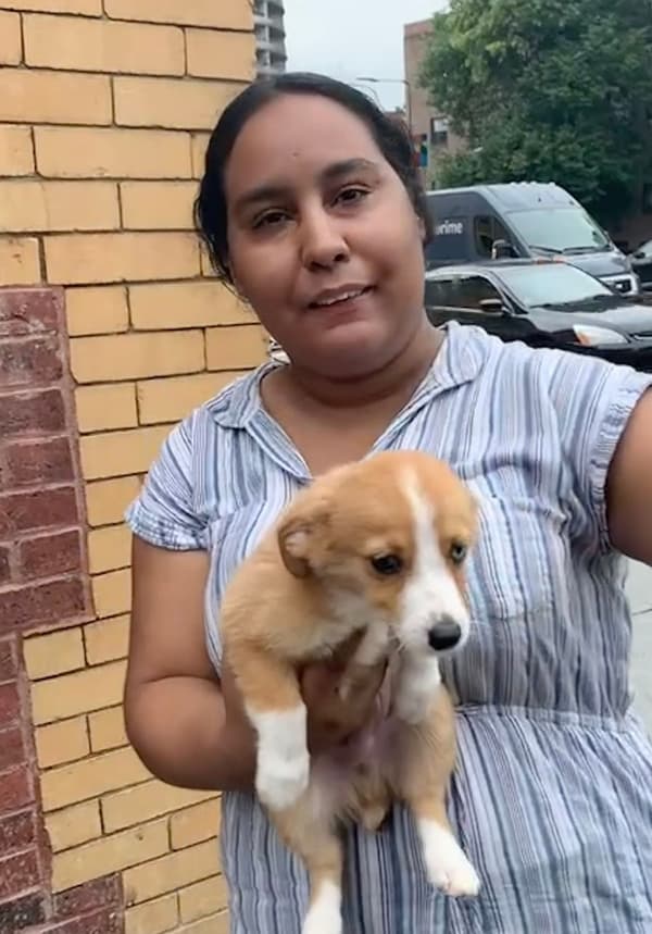 Customer photo of Auggie puppy from Chanel S.