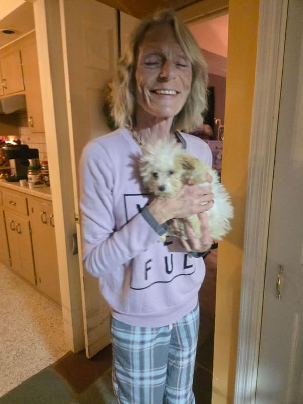 Customer photo of Poodle, Toy puppy from Tressa D.