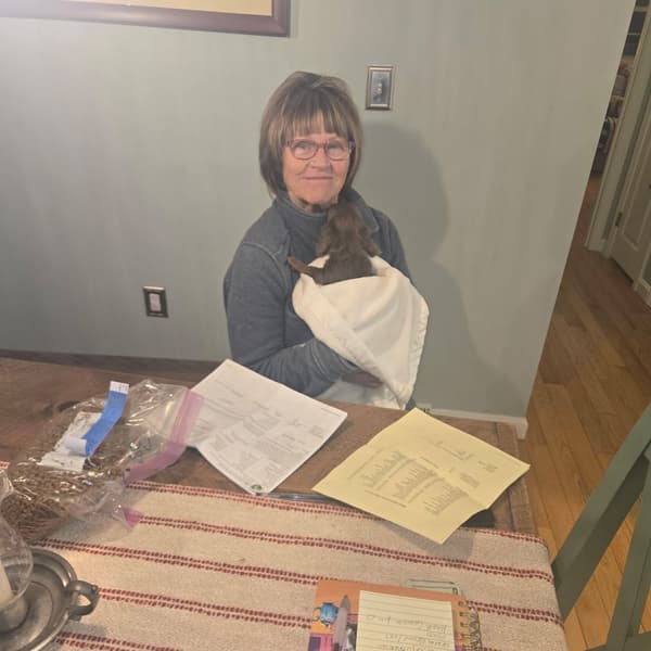 Customer photo of Dachshund, Mini puppy from Johanne D.