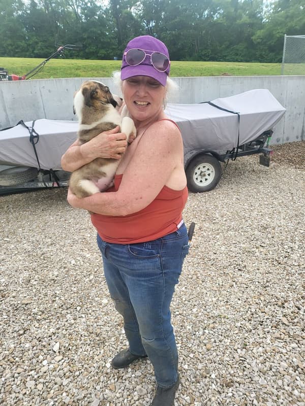 Customer photo of Border Collie puppy from Dorothy S.