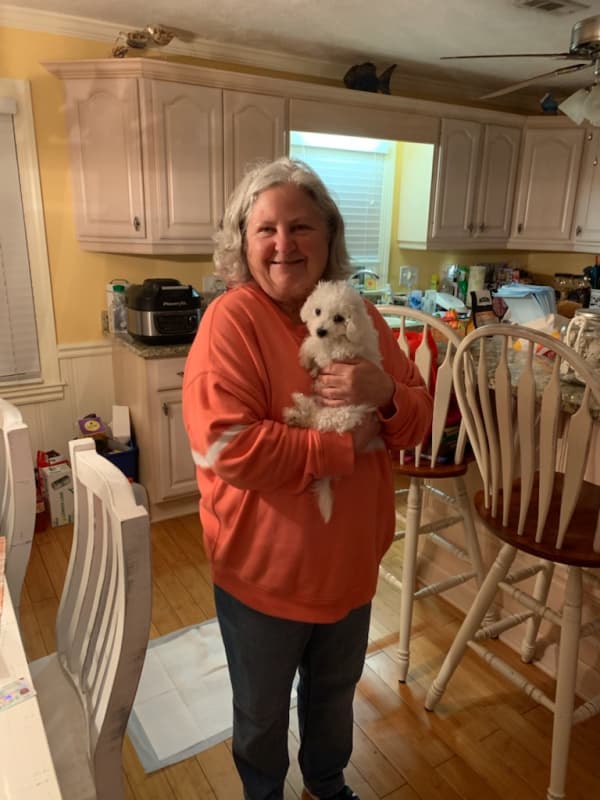 Customer photo of Bichon Frise puppy from Cathy R.