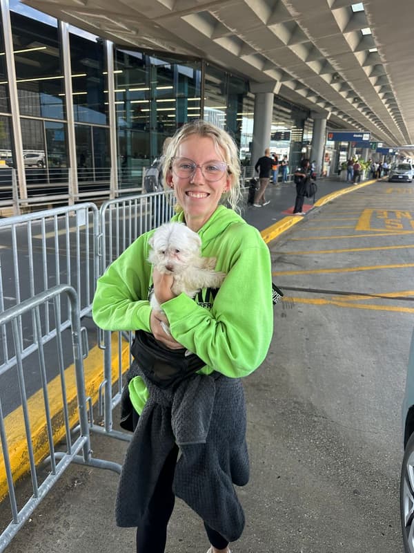 Customer photo of Havanese puppy from Julie B.