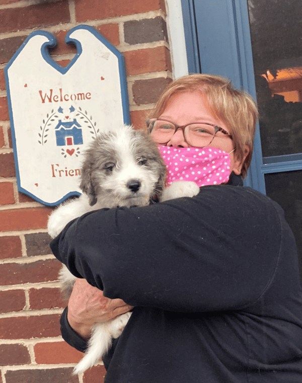 Customer photo of Saint Berdoodle - St. Berdoodle puppy from Lisa R.