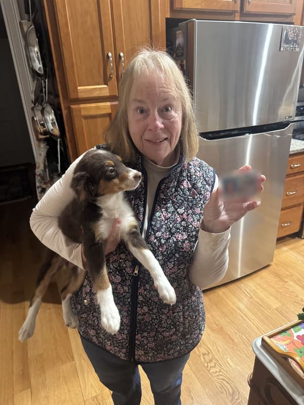 Customer photo of Bernedoodle, Mini puppy from Laurie F.