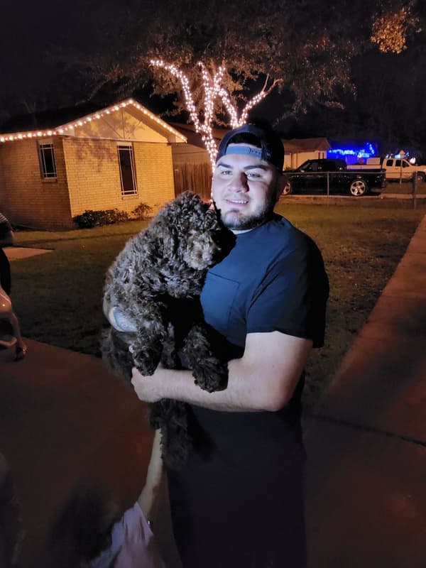 Customer photo of Poodle, Standard puppy from Andrew A. 