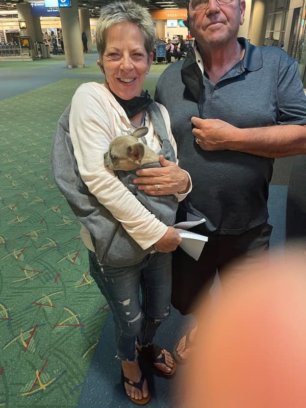 Customer photo of Frenchton puppy from Rebecca H.