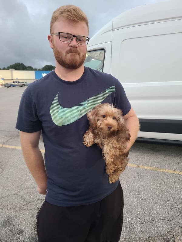 Customer photo of Yorkshire Terrier - Yorkie puppy from Donna W. 