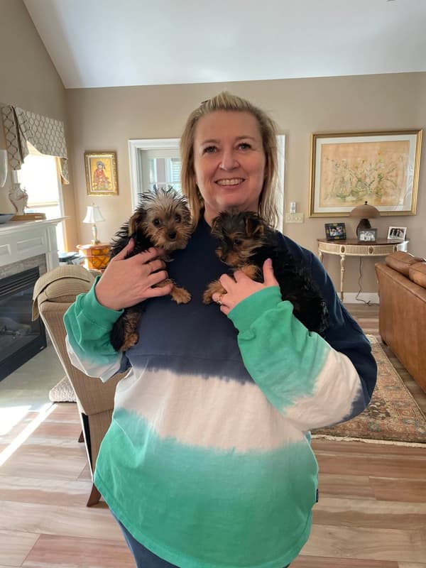 Customer photo of Yorkshire Terrier - Yorkie puppy from Kerrie S.
