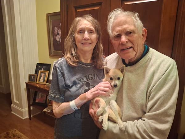 Customer photo of Mixed/Other puppy from Sue B.