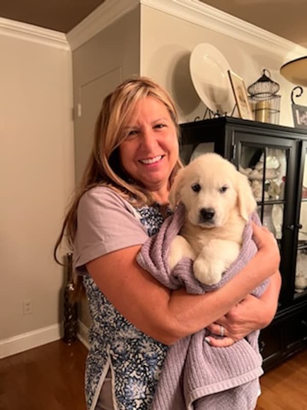 Customer photo of English Golden Retriever puppy from Maria S.