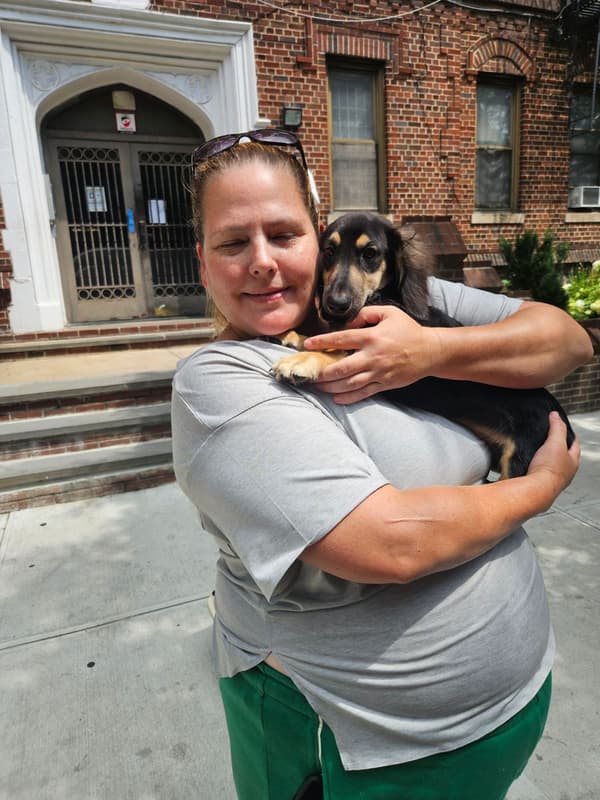 Customer photo of Dachshund, Mini puppy from Christine T.